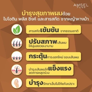 Amsel Biotin + Zinc & Horsetail Extract แอมเซล ไบโอติน ซิงค์ และสารสกัดจากหญ้าหางม้า(30 แคปซูลx1ขวด)