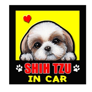 สติกเกอร์ติดรถ สติ๊กเกอร์ติดรถยนต์ สติกเกอร์หมา shih tzu AJ35