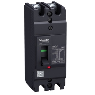 153.SCHNEIDER circuit breaker EasyPact EZC100H - TMD - 50 A - 2 poles 2d