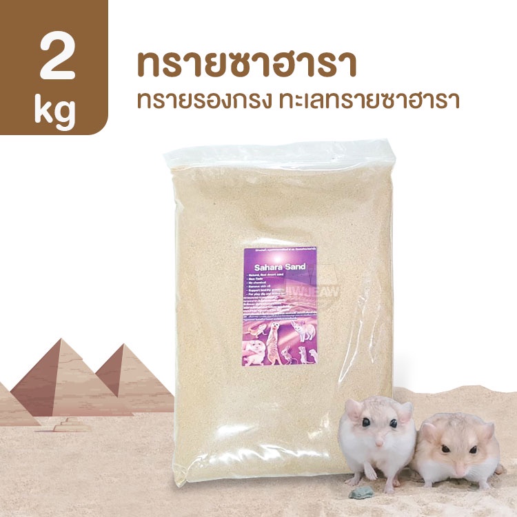 [2kg] ทรายซาฮารา ทรายซาฮาร่า ทรายรองกรง สำหรับหนูทะเลทรายและสัตว์ Exotic อื่นๆ Sahara Sand