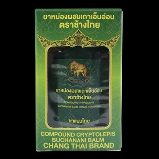 ยาหม่องเขียว ผสมเถาเอ็นอ่อน ตราช้างไทย