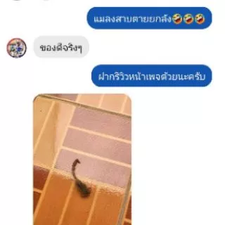 เครื่องพ่นยุงและแมลง ไทยประดิษฐ์ เครื่องพ่นยุงมินิ ชุดใหญ่ มีบริการงงเก็บเงินปลายทาง