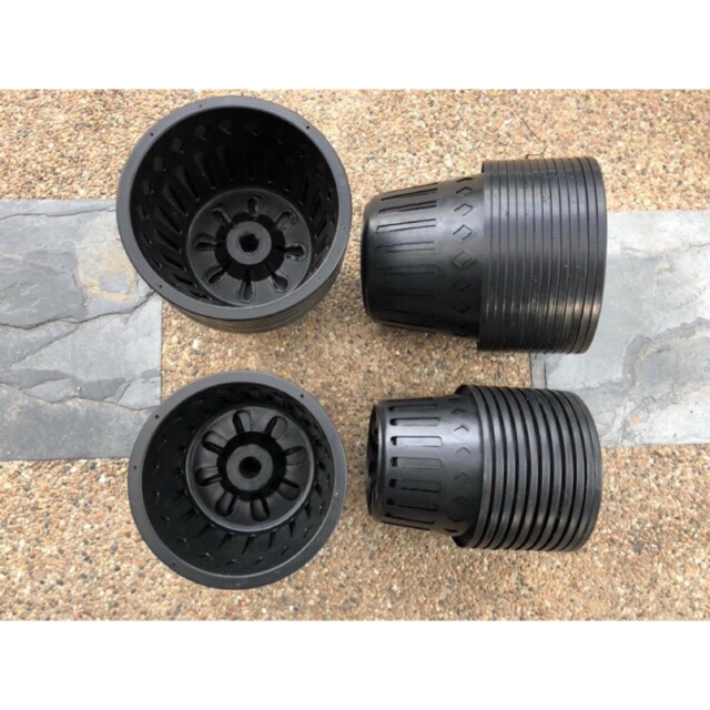 Pasu Orkid 6 ONCH / 15CM