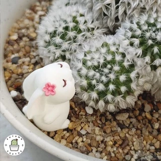 🐇 ตุ๊กตากระต่าย ชุดกระต่ายเก็บผัก ตุ๊กตาประดับกระถาง แต่งสวน ตั้งโช ขนาดเล็ก น่ารัก 🐇