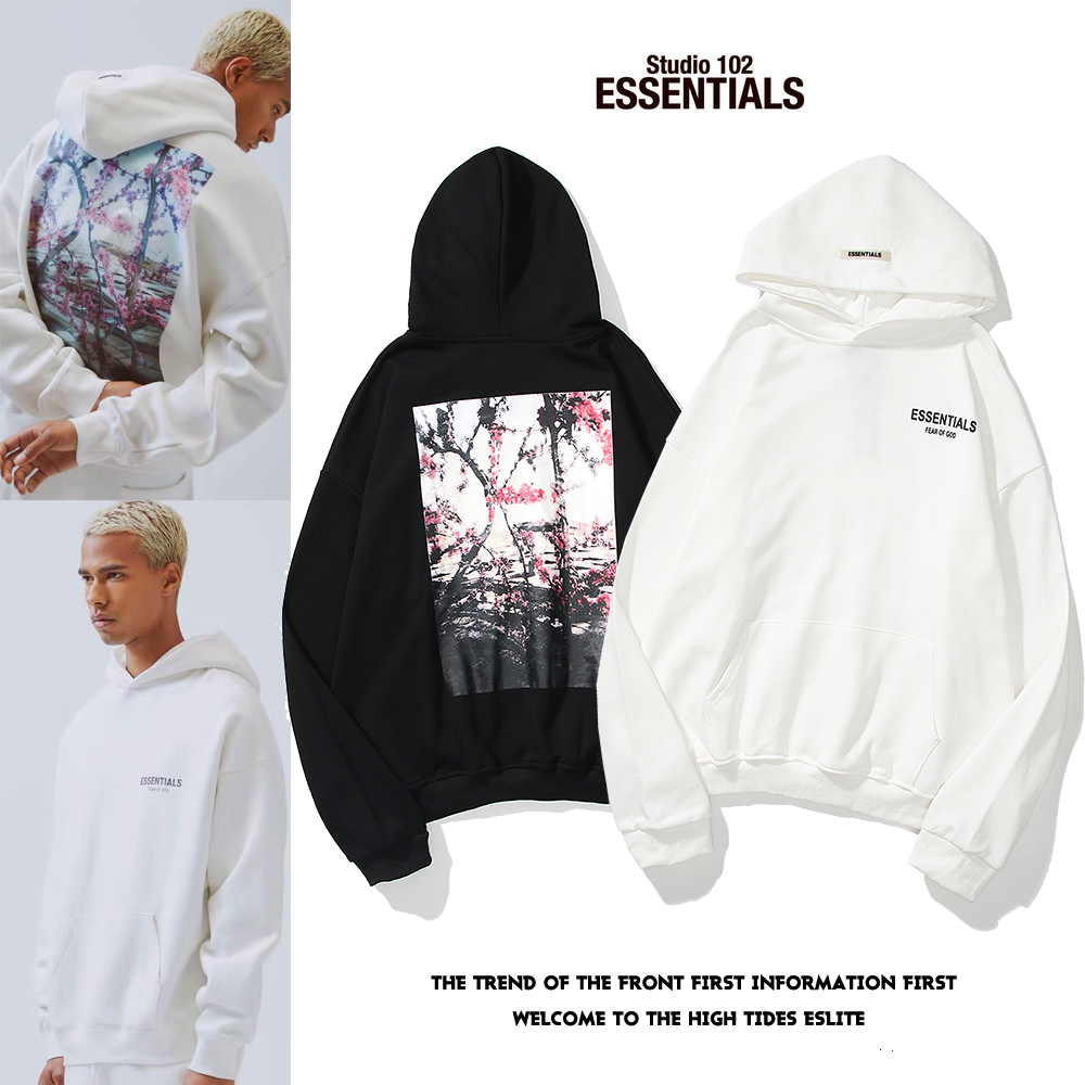 fog essentials 19aw