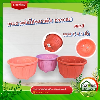 กระถางต้นไม้พลาสติกหลากสี ทรงกลม ขนาด 6" x 4" คละสี