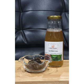 คอมบูชา (Kombucha)เครื่องดื่มเพื่อสุขภาพที่มีโพรไบโอติก