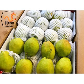 สาลี่หอม Fragrant Pear (ยกลัง7KG) (CHN) นำเข้า ~ลดพิเศษ~ส่งฟรี~ หอม หวาน อร่อย ! ผลไม้นอก ผลไม้นำเข้า ผลไม้สด Fruitage