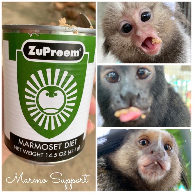 ZuPreem : MARMOSET DIET CANNED อาหารสำหรับลิงมาโมเสทและลิงทามาริน