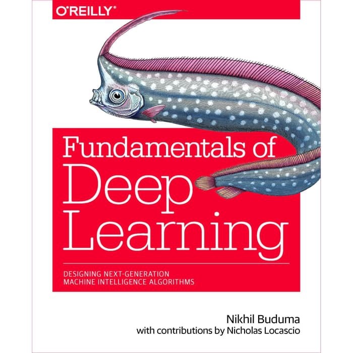 Fundamentals of Deep Learning