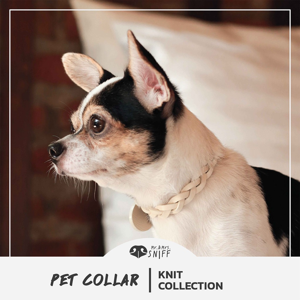 ปลอกคอสัตว์เลี้ยง Knit pet collar สลักชื่อเบอร์โทร หนังนิ่มแท้ ปลอกคอสุนัข ปลอกคอแมว | MrAndMrsSniff