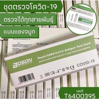 🦠ชุดตรวจatk แบบแหยงจมูก1กล่อง10ชุดพร้อมส่ง🦠