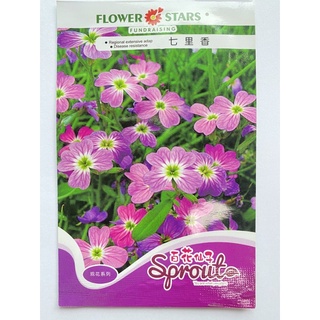 เมล็ดพันธุ์ ฟอร์เก็ตมีน๊อต สีชมพู (Pink Forget me not Seed) บรรจุ 100 เมล็ด