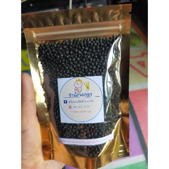 เมล็ดหน่อไม้ฝรั่ง 1ขีด (ประมาณ5,000เมล็ด) ราคา299บาท