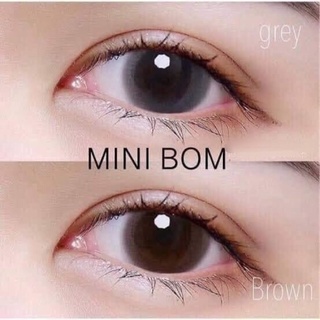 คอนแทคเลนส์ เลนส์กรองแสง / Mini bom brown / kitty kawaii