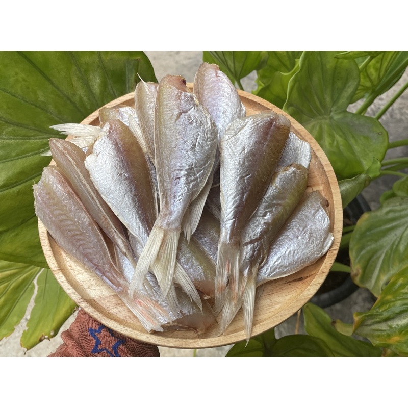 ปลาแดง​ ร้าน​ ปลาเค็มแดดเดียว​ เจ๊จอก​ บางบ่อ 500 กรัม