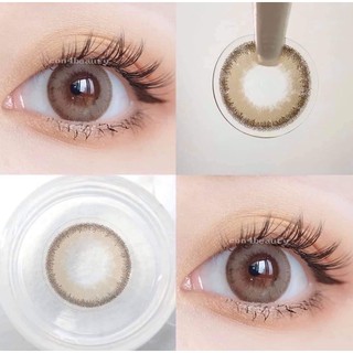 Alomond lens เลนส์สีน้ำตาลอัลมอนด์ละมุนมาก