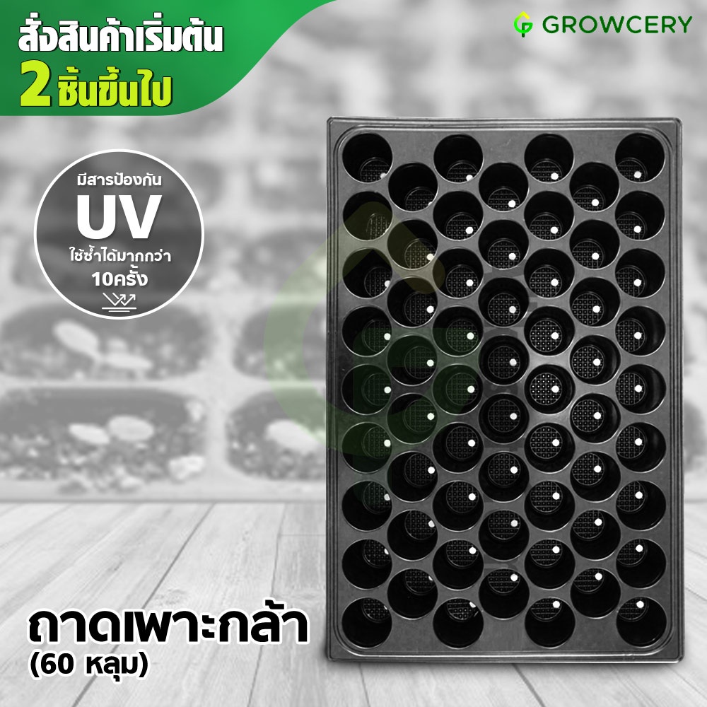 [G.] ถาดเพาะ เพาะเมล็ด เพาะกล้า แบบหลุม จำนวน 60 หลุม (หนา 0.7 มม.)**สั่งขั้นต่ำ 2 ชิ้น** โดย GROWCERY
