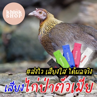 เสียงต่อไก่ป่าตัวเมีเมมเสียงไก่ป่าตัวเมีย แฟลชไดร์ฟเสียงต่อไก่ป่าตัวเมีย มีเก็บเงินปลายทาง