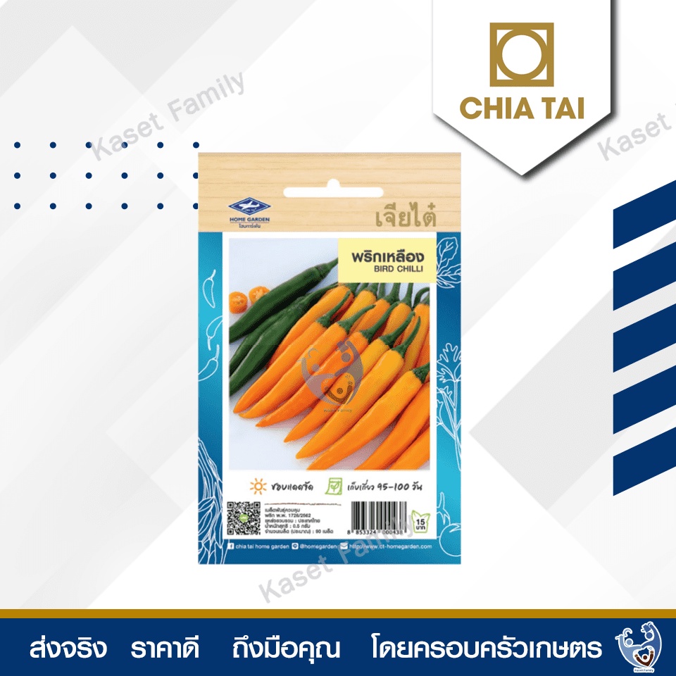 CTOP x 10 เมล็ดผักซองเจียไต๋ พริกเหลือง สินค้ายกแพ็ค