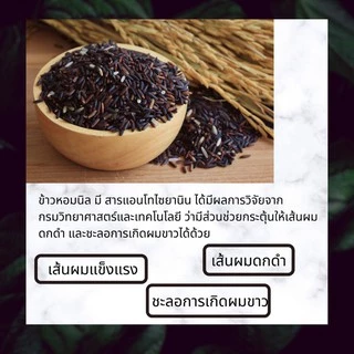แม่ใหญ่สมุนไพร แชมพูข้าวหอมนิล ลดผมร่วง ผมบาง ผมหงอก ต้องลอง
