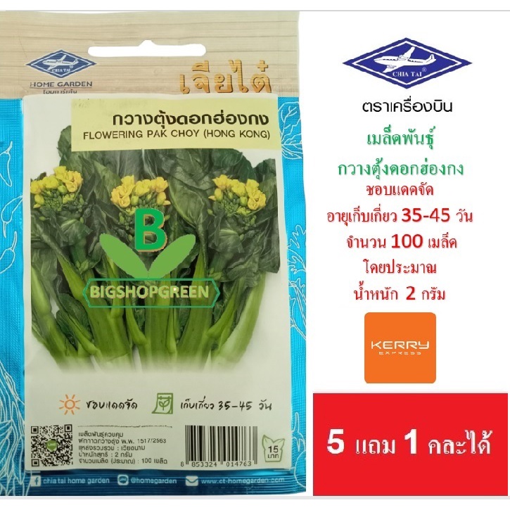 5 ฟรี 1 คละได้ เมล็ดพันธุ์ กวางตุ้งดอกฮ่องกง ตรา เจียไต๋ เมล็ดพันธุ์ผัก เมล็ดผัก เมล็ดพืช เมล็ดพันธุ์พืช