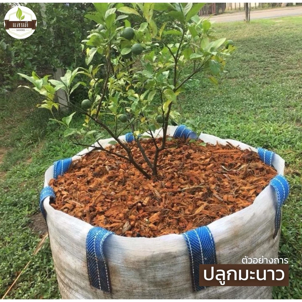 🌱ถุงเพาะปลูก แบบมีหูหิ้ว ปลูกมะนาว ปลูกมะละกอ ถุงใส่ต้นไม้ใหญ่🍄🌱