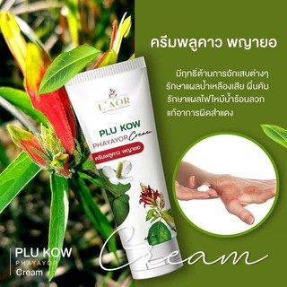 ครีมพญายอ พลูคาว ครีมพลูคาว พญายอ - ฟรีเก็บเงินปลายทาง - พญายอ  40 ml ส่งตามจำนวนที่สั่งเลยจ้า ถ้ารับโปร 4 กด 4 น้า🙏😊