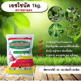 เอชโซนัด 1kg. ตราหมาแดง 24ดี โซเดียม หมาแดงผง ทูโฟดี กำจัดหญ้า  แบบดูดซึม ใบกว้าง และกก กำจัดหญ้ายาง allaboutplants