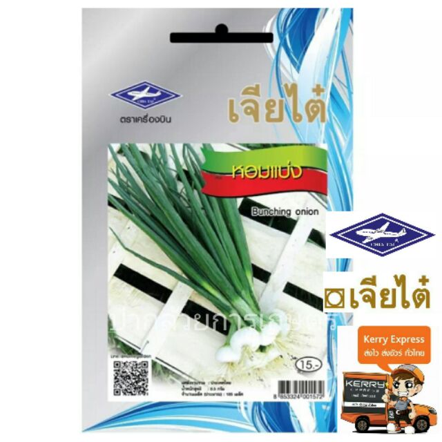 เมล็ดหอมแบ่ง ผักหอมต้น เมล็ดพันธุ์ผักเจียไต๋ เมล็ดผักหอม