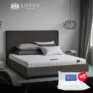 LOTUS ที่นอนยางพาราไฮบริด (สเปคแน่น) รุ่น Spring Free I Plus *ฟรี หมอนหนุนสุขภาพกันไรฝุ่น ส่งฟรี