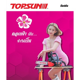 TOPSUN เลื่อยโซ่ยนต์ 11.5 รุ่นTCS3900