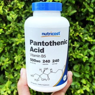 80% OFF Sale!! EXP. 05/23 กรดแพนโทเทนิก (วิตามินบี 5) Pantothenic Acid 500 mg 240 VegCaps (Nutricost®)