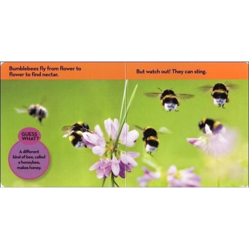 หนังสือบอร์ดบุ๊คสำหรับเด็ก National Geographic Kids Look & Learn เซต 12 เล่ม - รูปที่ 6