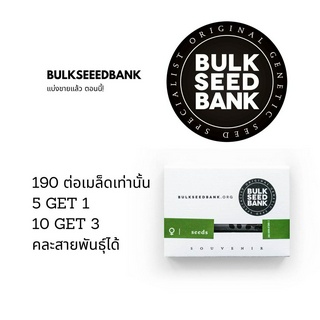 🎉ซื้อ 5 แถม 1 🎉 เมล็ดพันธุ์กัญชาเพศเมีย 100% โฟโต้ เมล็ดค่าย Bulk Seed Bank 🔥แบ่งขาย เพศเมีย  แท้100% นำเข้าจาก สโลวีเนี