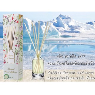 ARCTIC FRESH  กลิ่นอาร์คติกเฟรช