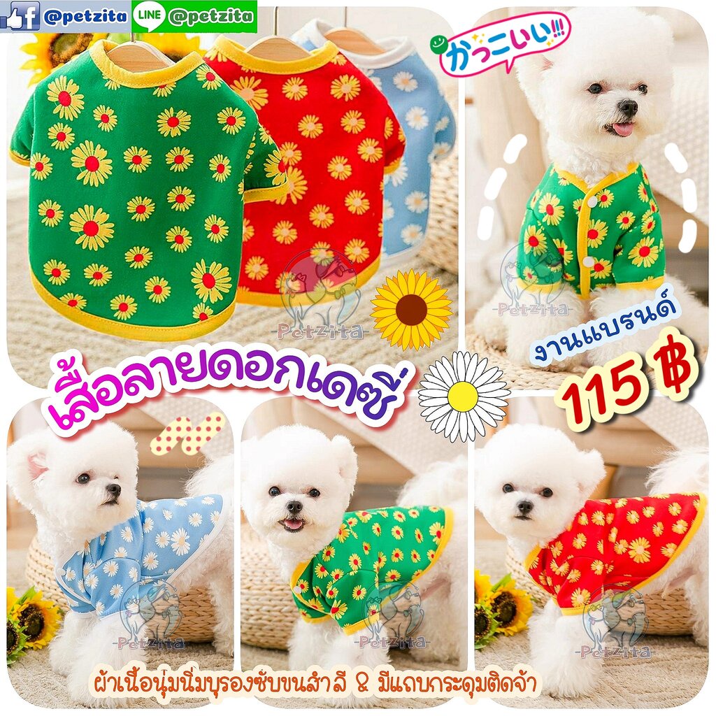 พร้อมส่ง เสื้อลาย ดอกเดซี่ - สไตล์ ญี่ปุ่น เกาหลี งานแบรนด์แท้ FOR PET สุนัข หมา แมว