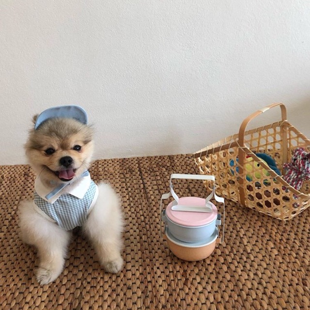 ส่งฟรี🧺(สั่งทอได้ทุกขนาด)ทอตามคิว เสื่อสานผักตบชวา - รูปที่ 6