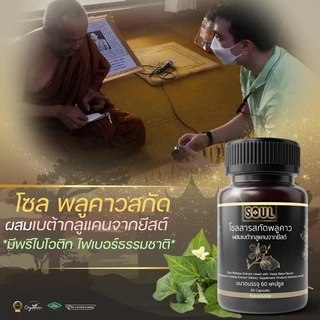 (1 กระปุก) ส่งด่วน ของแท้ อาหารเสริมพลูคาว ลดอักเสบ ไอ ผื่น คัน ภูมิแพ้ ผิวหนัง โซลพลูคาวเบต้ากลูแคน