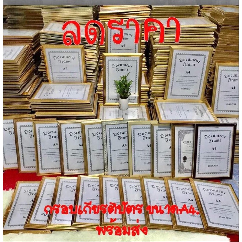 My Image 26