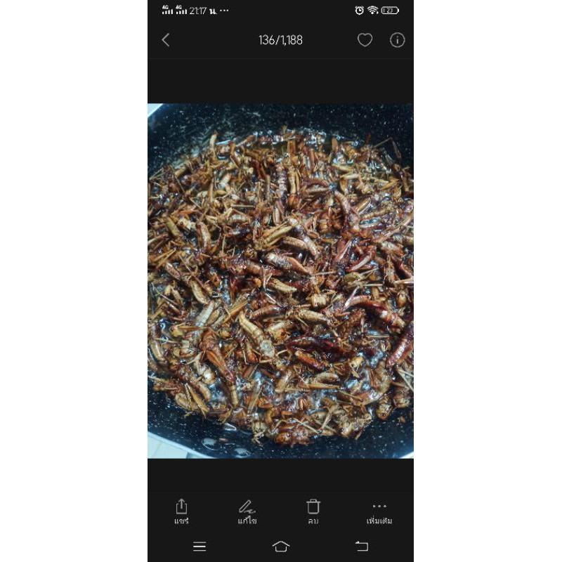 ตั๊กแตนทอดโลละ390บาท