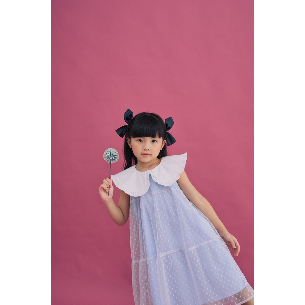 Impromptu Tulle Blocks Dress