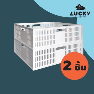 LUCKY HOME ตะกร้าพลาสติกใส่ของ DT-41 แพ็ค 2 ชิ้น ขนาด 47 x 36 x 17 cm