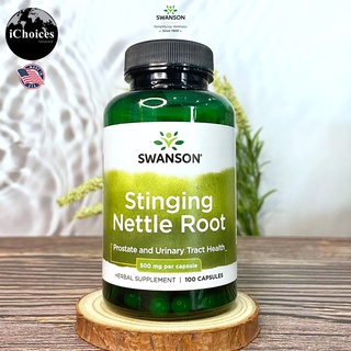 [Swanson] Stinging Nettle Root 500 mg 100 Capsules สารสกัดจากรากตำแย ต่อมลูกหมาก ทางเดินปัสสาวะ ทางเดินหายใจ