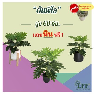 ต้นไม้ปลอมตกแต่งบ้าน ต้นฟิโลเดนดรอน ใบใหญ่ 60 ซม.  (Philodendron)