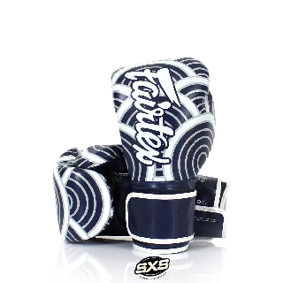 Fairtex Boxing Gloves BGV14BLU