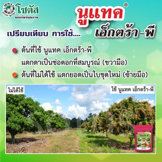 นูแทค เอ็กตร้า-พี (Nutac Extra-P)