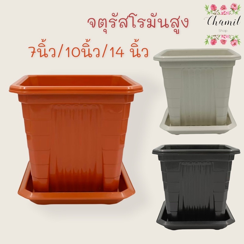 กระถางต้นไม้พลาสติก 7 นิ้ว กระถางต้นไม้พลาสติก ทรงจตุรัสโรมันสูง สีขาว สีเทา สีดำ สีส้ม กระถางพร้อมจานรอง