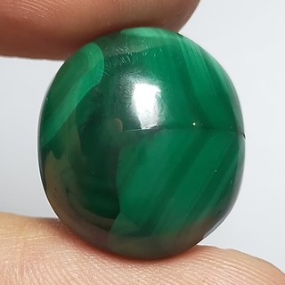 พลอย หลังเบี้ย มาลาไคต์ ธรรมชาติ แท้ ( Natural Malachite ) 28.99 กะรัต