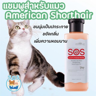 แชมพูอาบน้ำแมว สำหรับ American Shorthair 🐱🐱แชมพูแมว อ่อนโยน หอมนาน